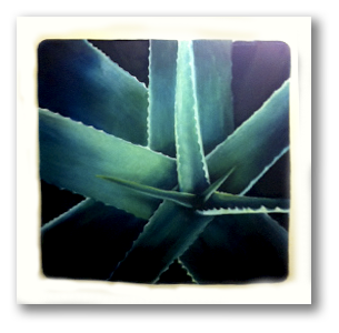 portfolio-single